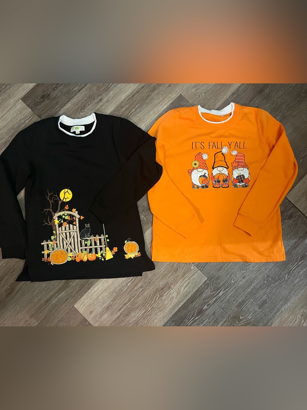 2 Fall/Halloween sweatshirts Size small